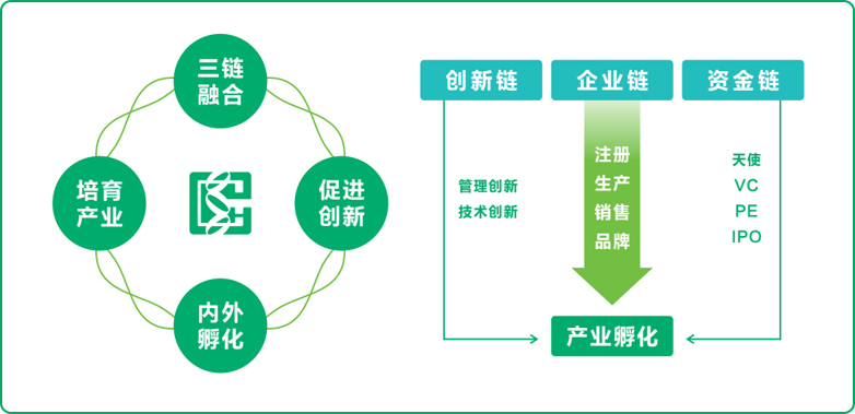 PG电子式孵化